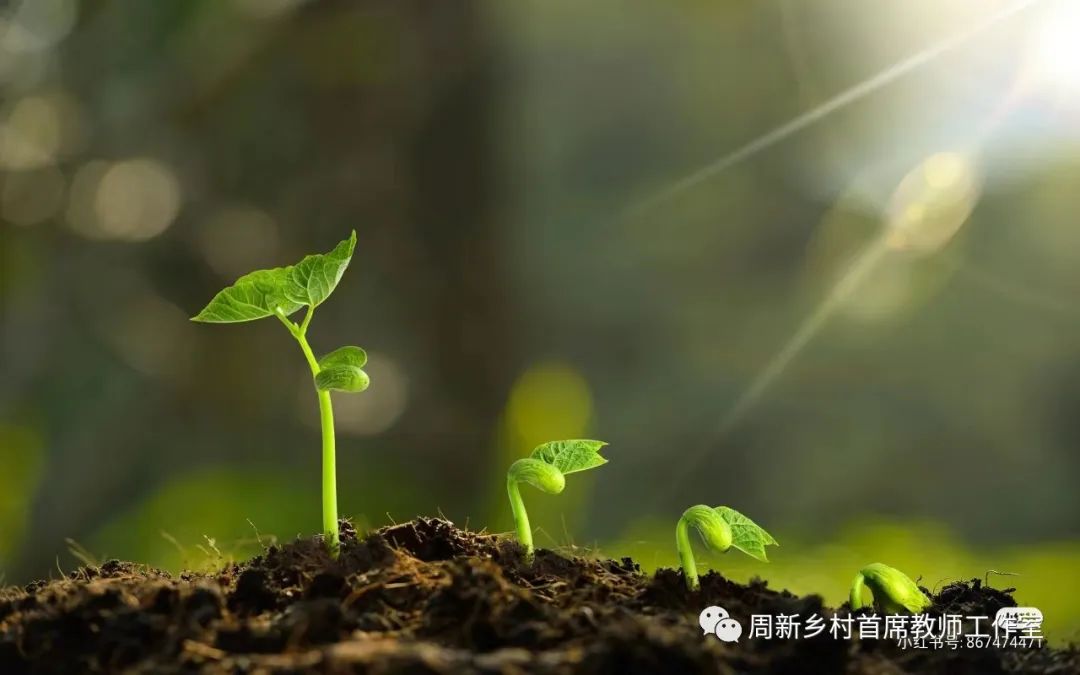 论文语文小学生怎么写_小学语文论文_小学语文论文范文参考